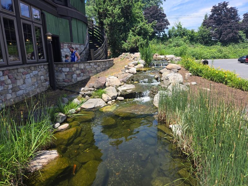 A Fish Pond And Waterfall Greet You At The Entrance