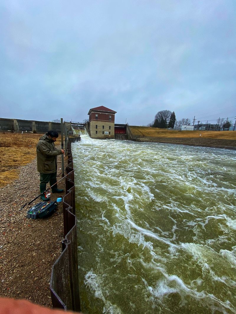 A Fish Story With Serious Consequences