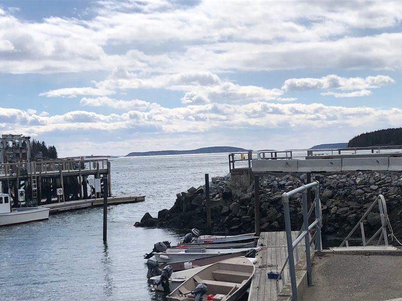 Lobster Fresh Off The Boat