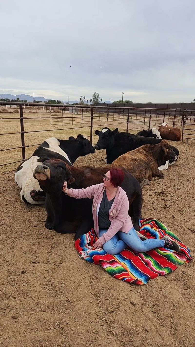 A Five-Acre Haven in San Tan Valley A Five-Acre Haven in San Tan Valley
