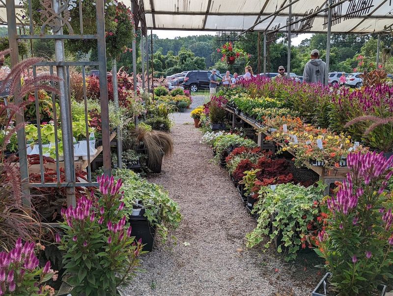 A Flower And Garden Section That Steals The Show