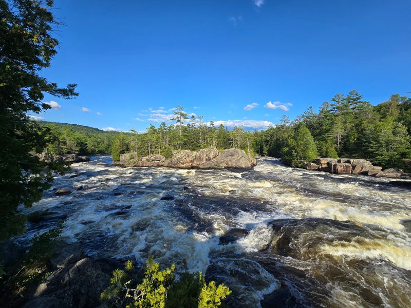A Fly Fisher's Happy Place