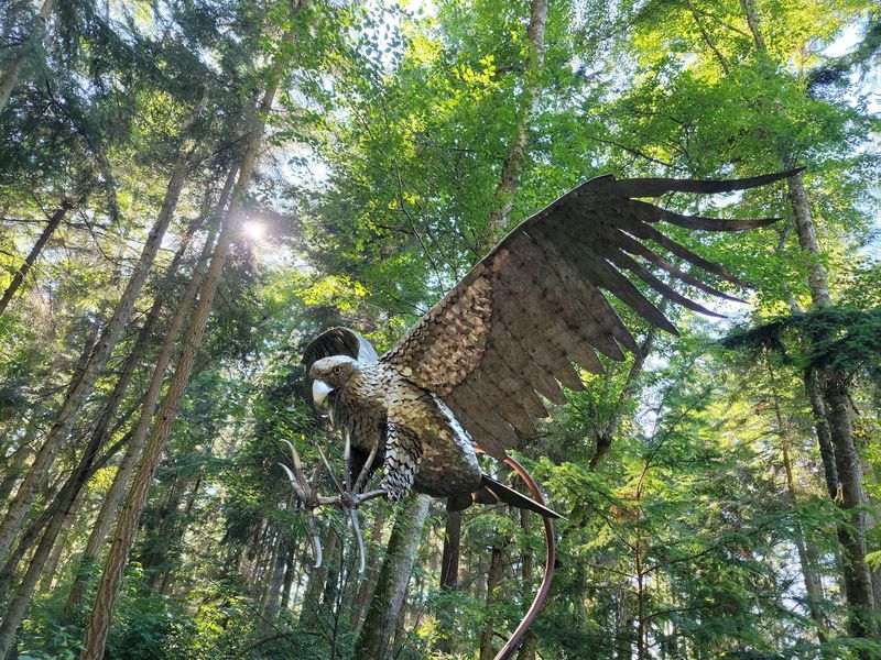A Forest Gallery Just Minutes From Downtown Coupeville