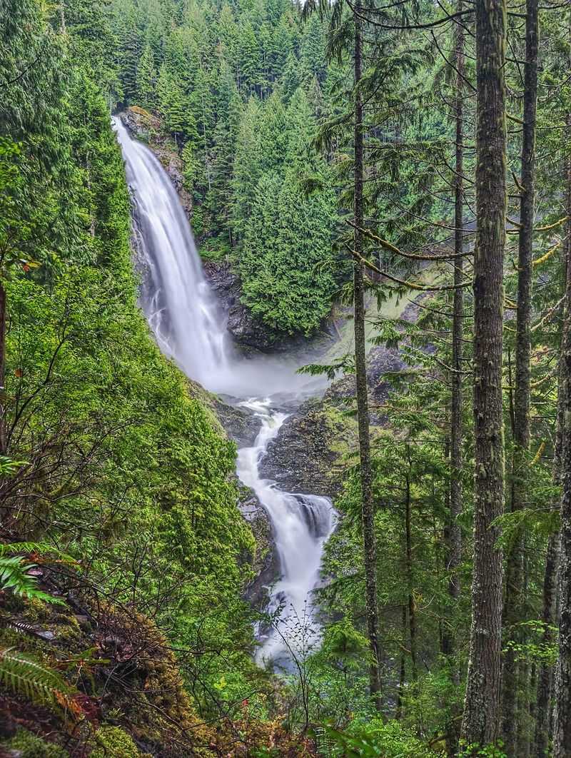 A Forest Park in the Cascade Foothills A Forest Park in the Cascade Foothills
