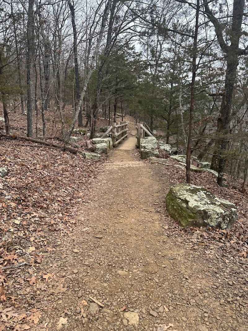 A Forest Path Leading To Open Sky