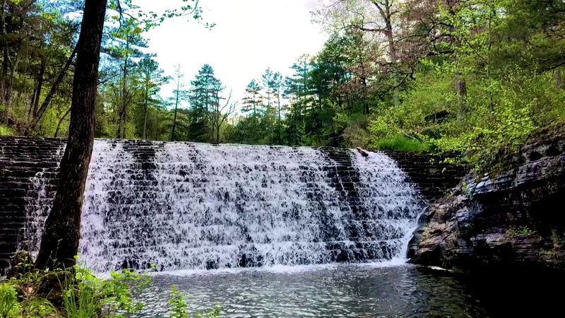 The First Glimpse Changes Everything