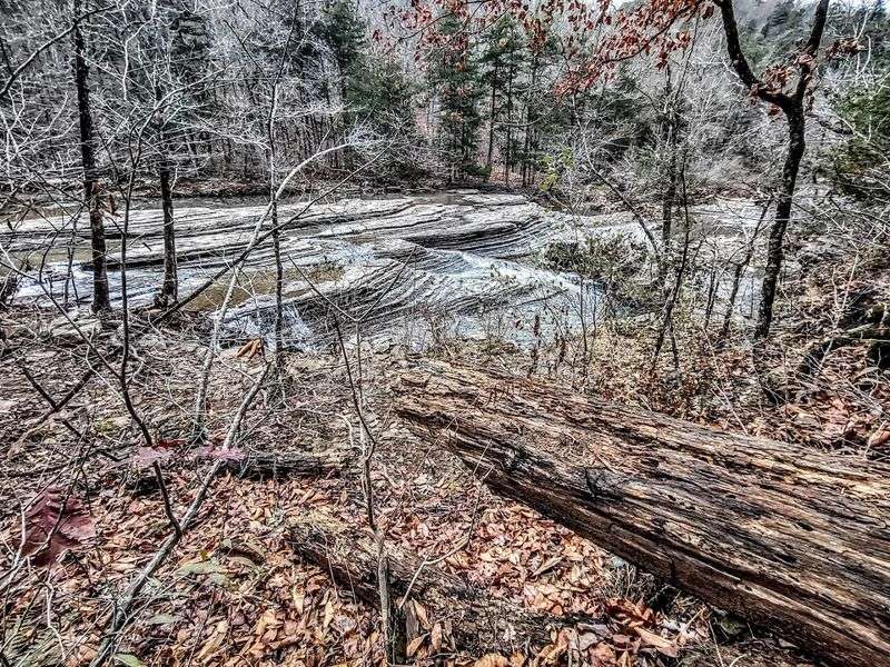 A Forest Road With A Hidden Reward