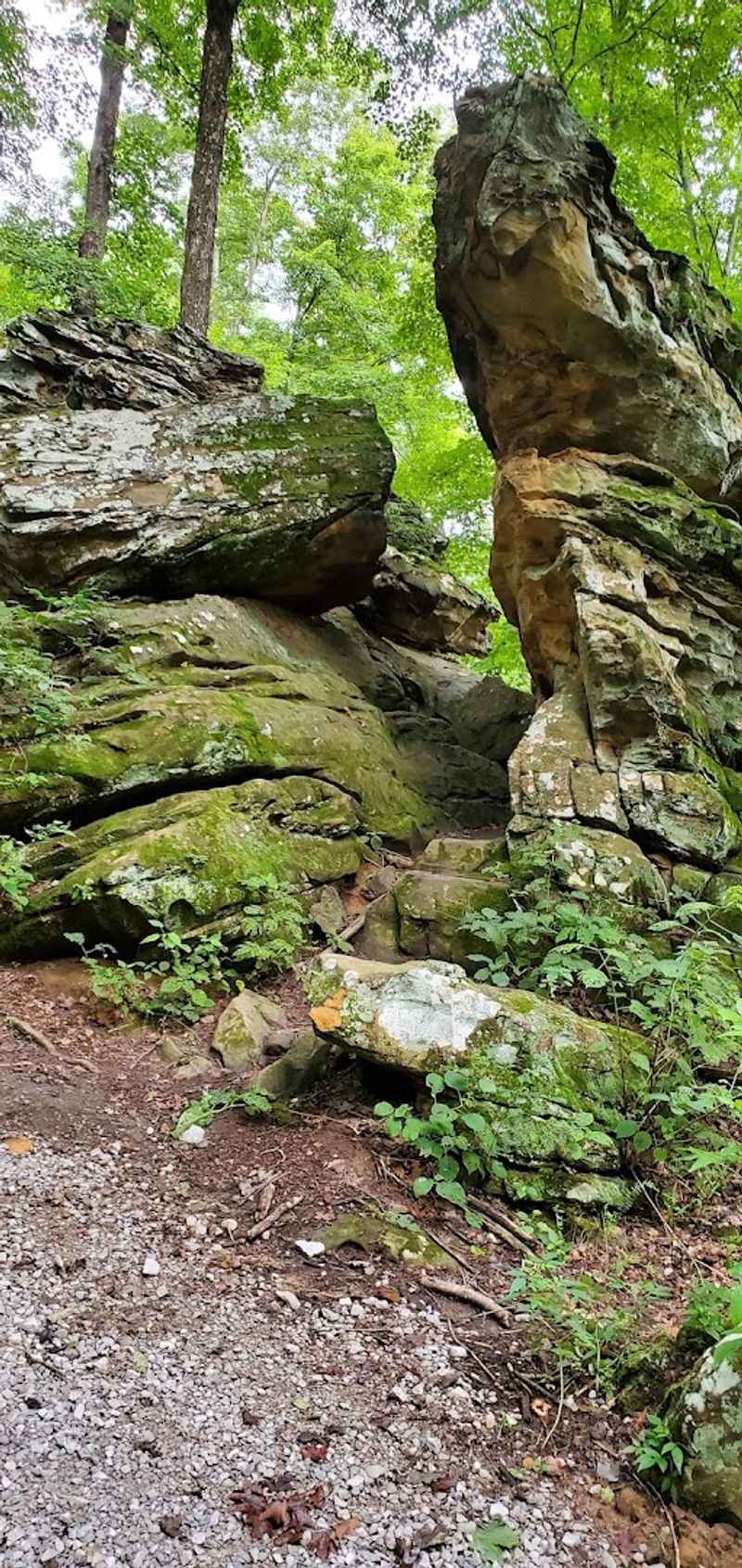 Hiking Trails For Every Skill Level