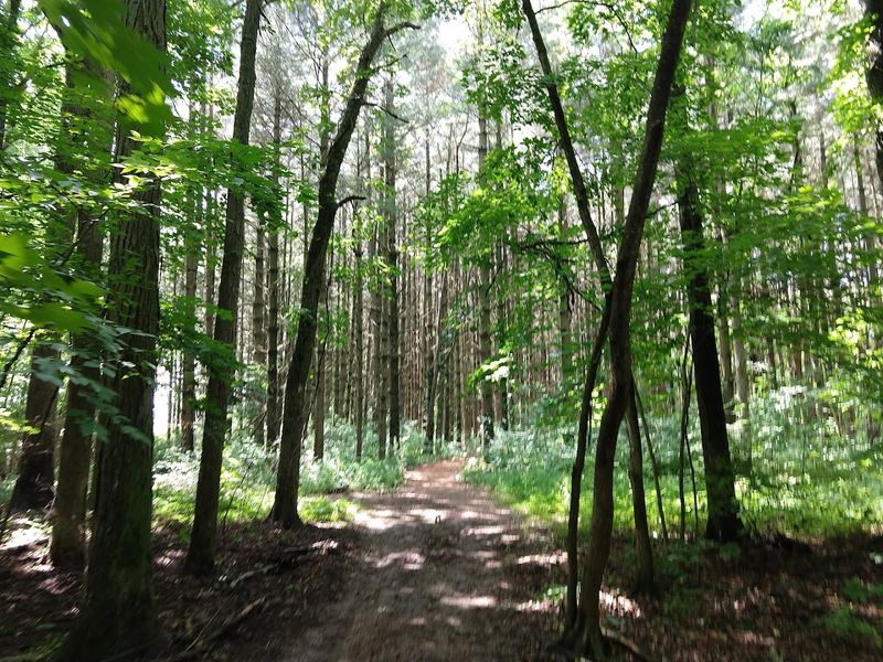 Trails That Wind Through Genuine Wilderness