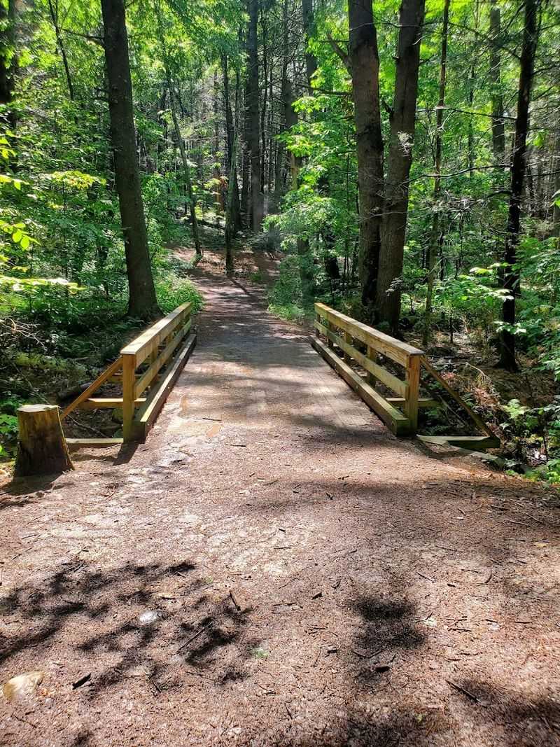 Storybook Wooden Bridges