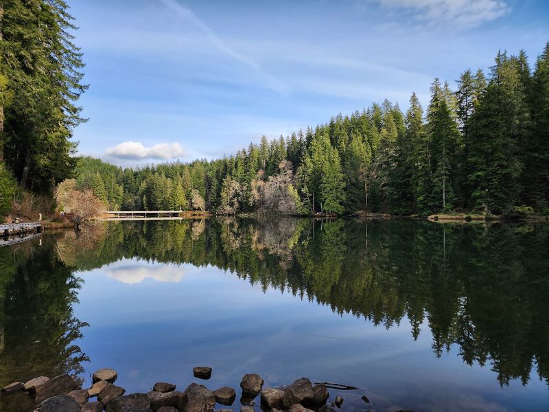 A Forested Escape Just North of Montesano