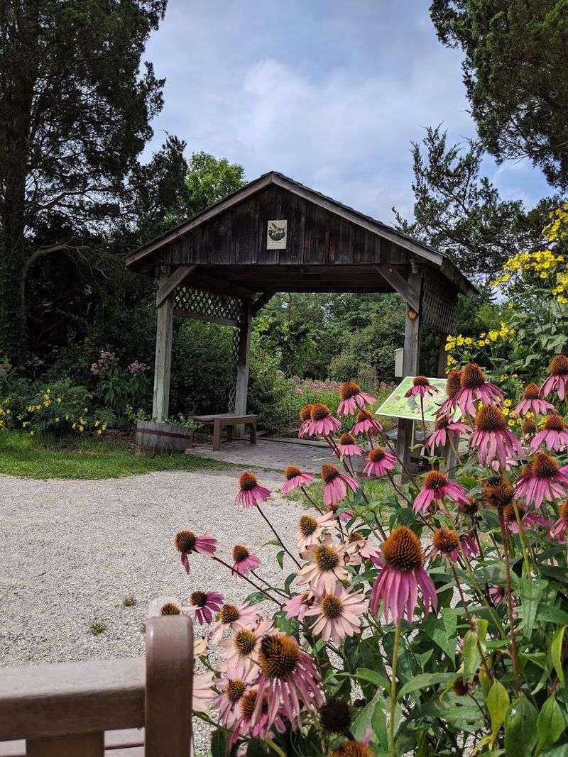 Native Nectar Garden