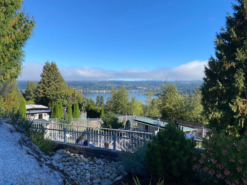 A Forested Setting Above Lake Sammamish