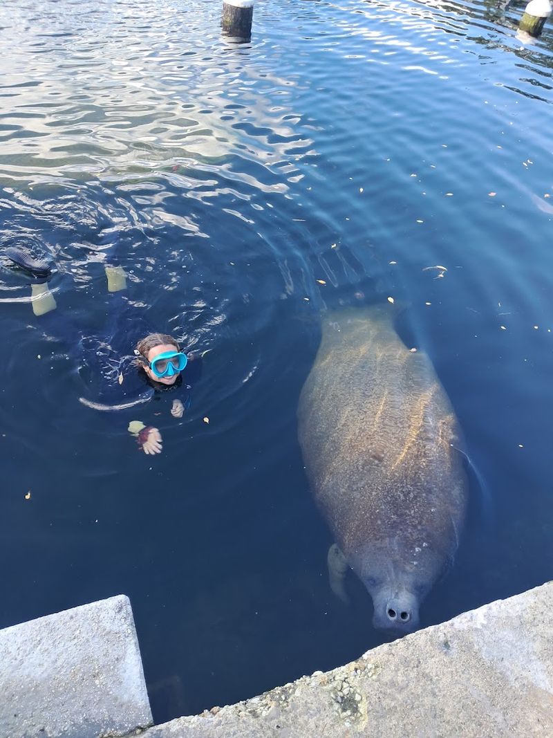 Marine Life Swims Past Your Window All Night Long