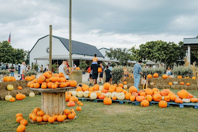 A Four-Day September Celebration Kicks Off The Season A Four-Day September Celebration Kicks Off The Season