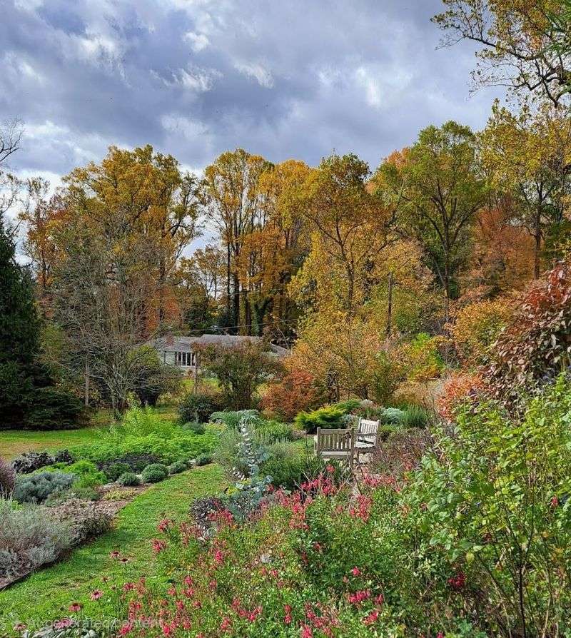 A Fragrance Garden Designed For All The Senses