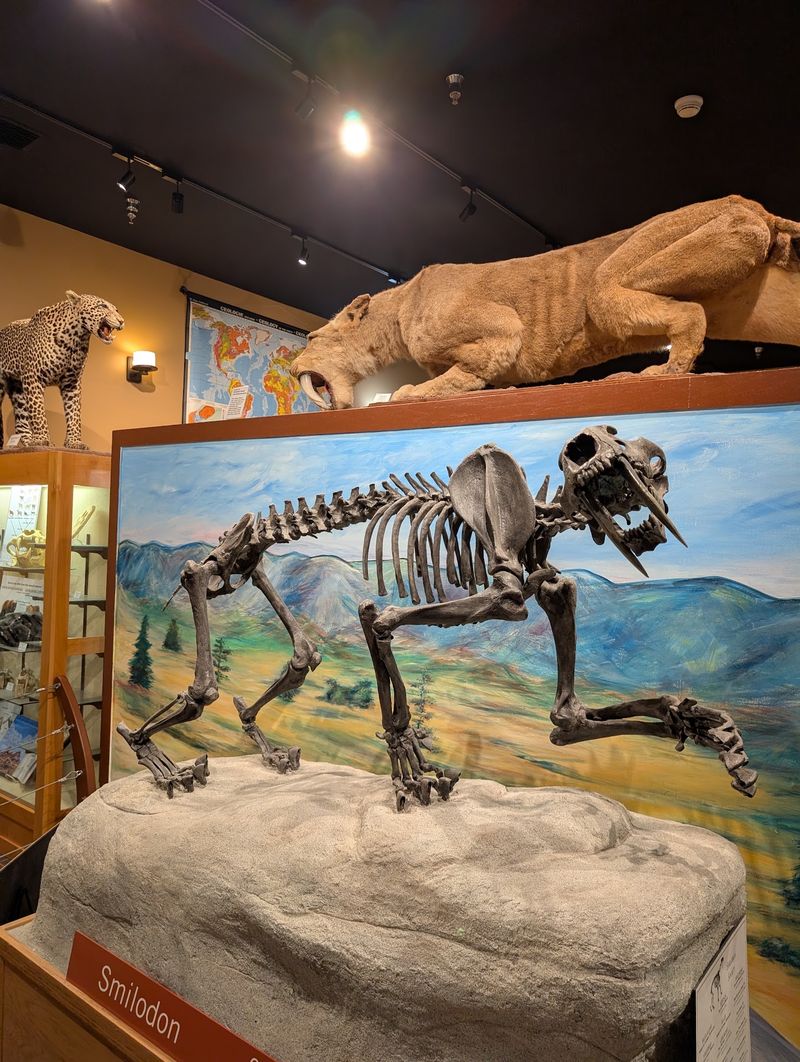 A Free Dinosaur Museum Hiding Inside