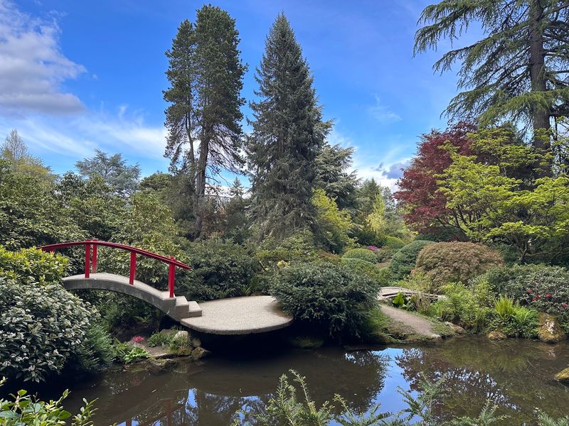 A Free Japanese Garden On Seattle's South Side