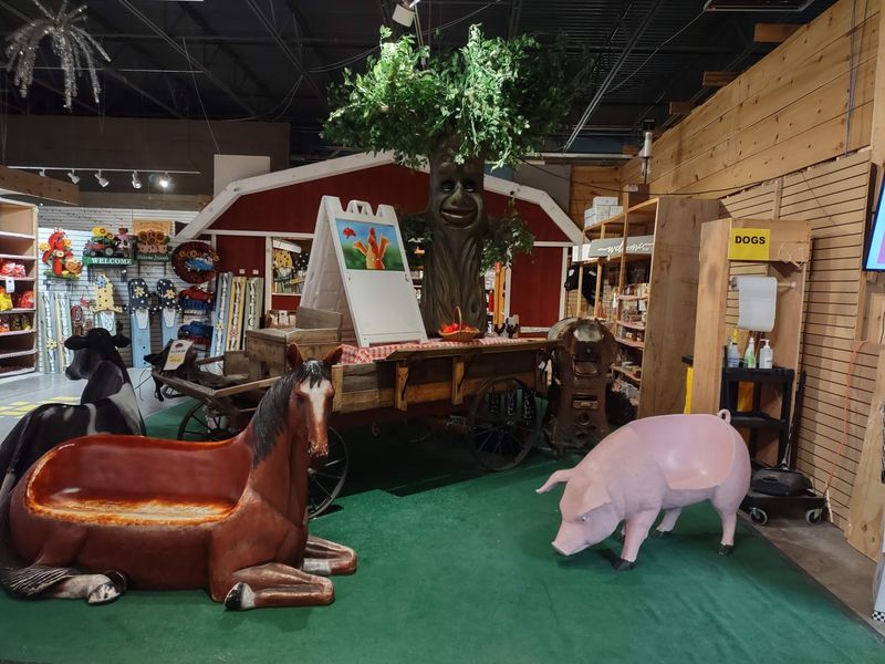 A Free Petting Farm With Goats, Chickens, And A Pig A Free Petting Farm With Goats, Chickens, And A Pig