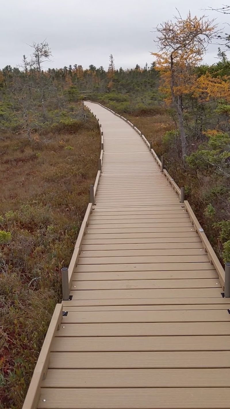 Seasonal Beauty That Changes With Every Visit