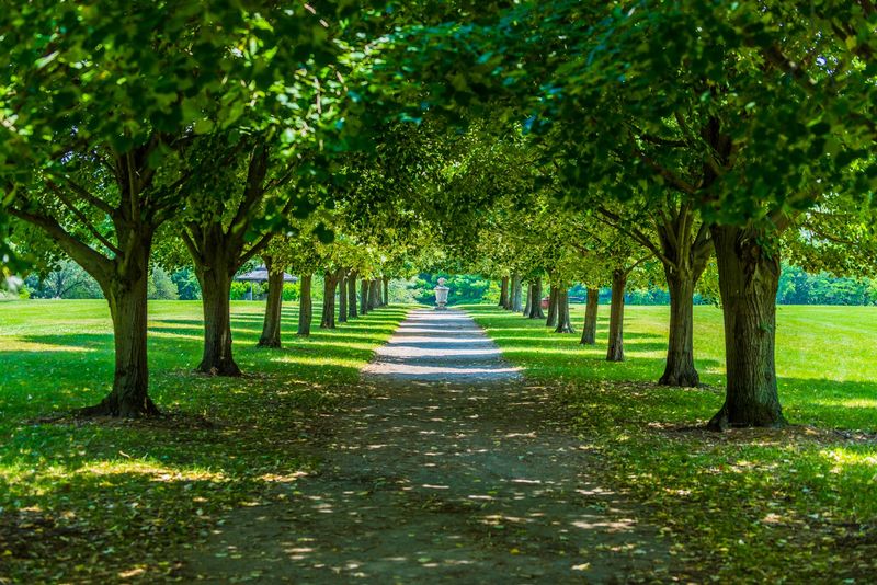 Sixty Acres of Pure Green Exploration