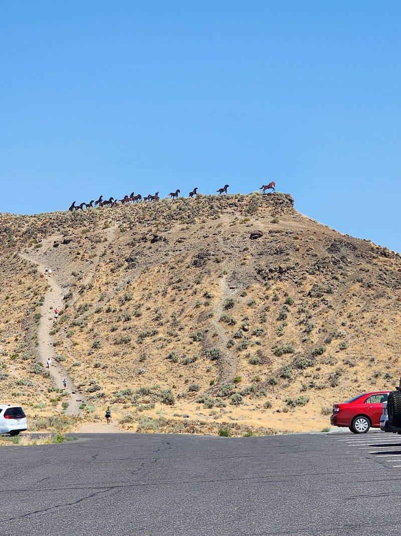 A Freeway Stop That Hides A Sky-High Herd
