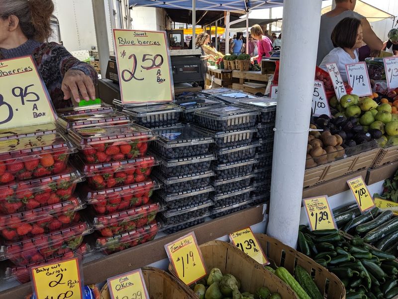 An Alpaca Farm Next Door and Other Surprises Add Unexpected Charm
