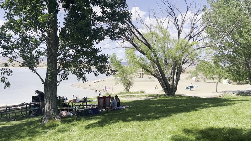 A Full-Day Picnic Setup That Handles Every Group