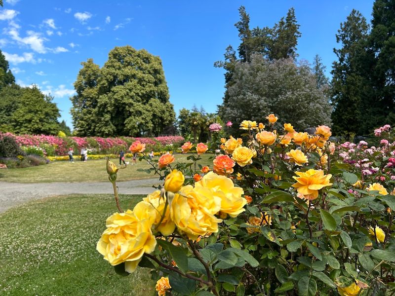 A Garden Born From Schoolchildren's Generosity