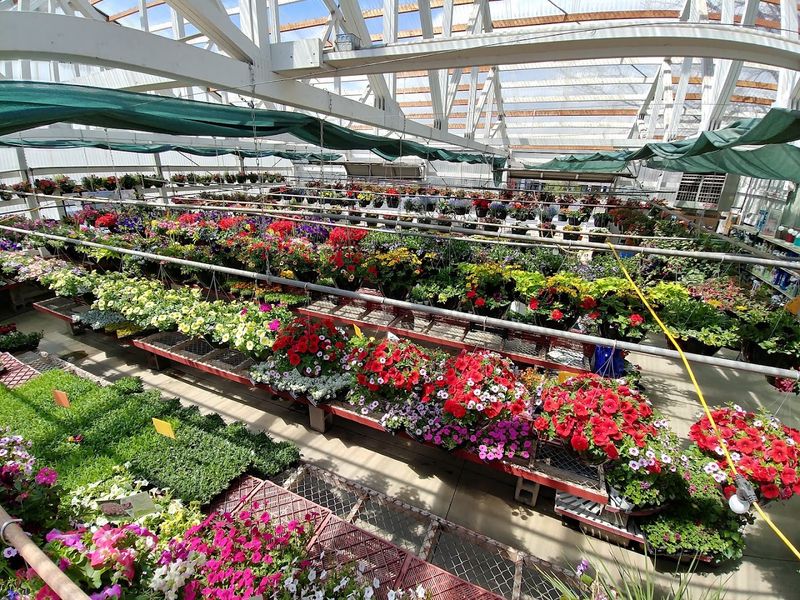 A Garden Center That Actually Feels Like A Garden