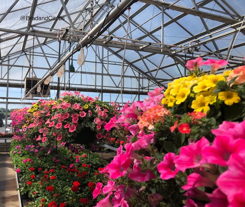 A Garden Center Worth Exploring