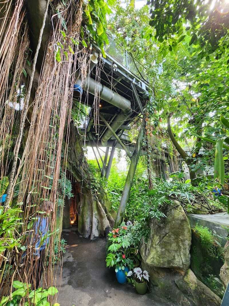 The Glasshouse: Tropical Worlds Under One Roof
