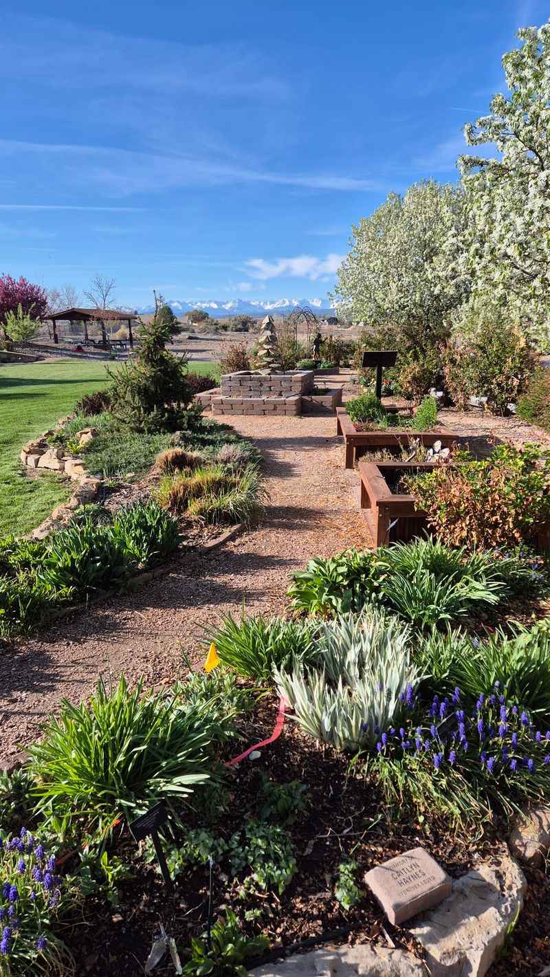 A Garden Shaped By Its Colorado Setting