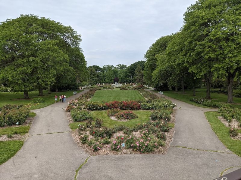 The History Behind the Blooms