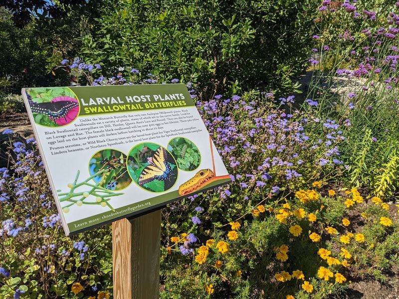 A Garden That Teaches