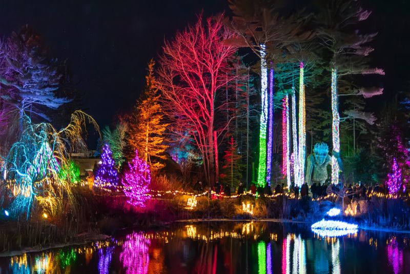 A Garden That Trades Its Petals For Three-Quarters Of A Million Lights