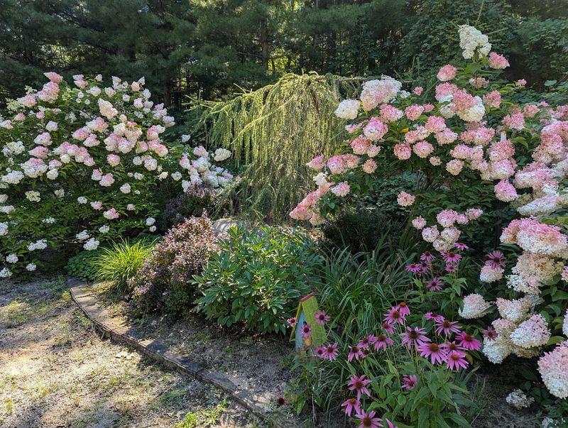 A Garden With A Deeper Story