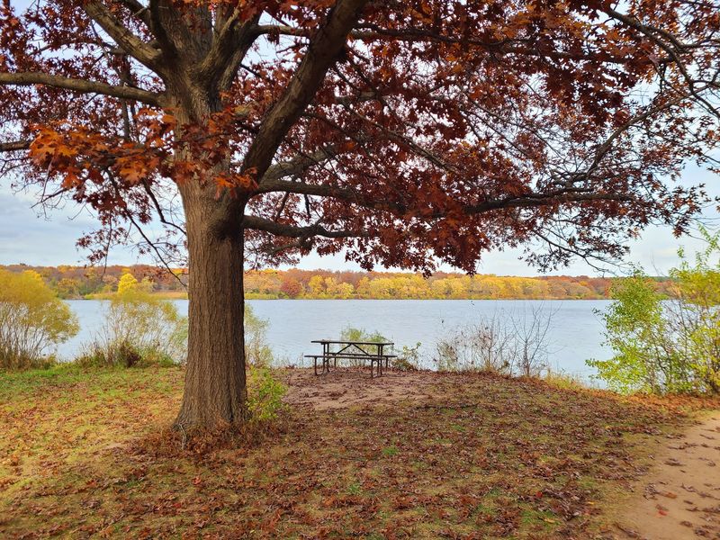 A Gentle Loop That Circles The Water