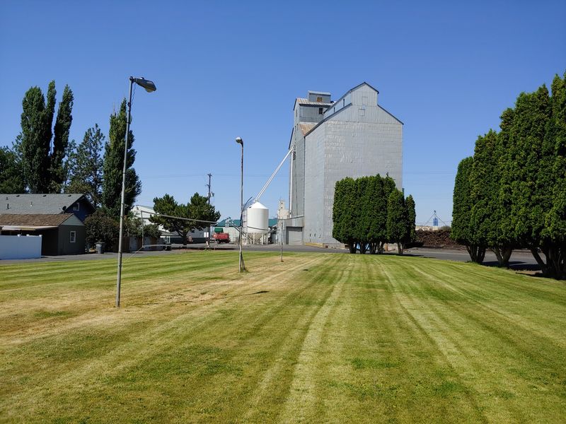 A Gentle Verdict on Small-Town Living A Gentle Verdict on Small-Town Living
