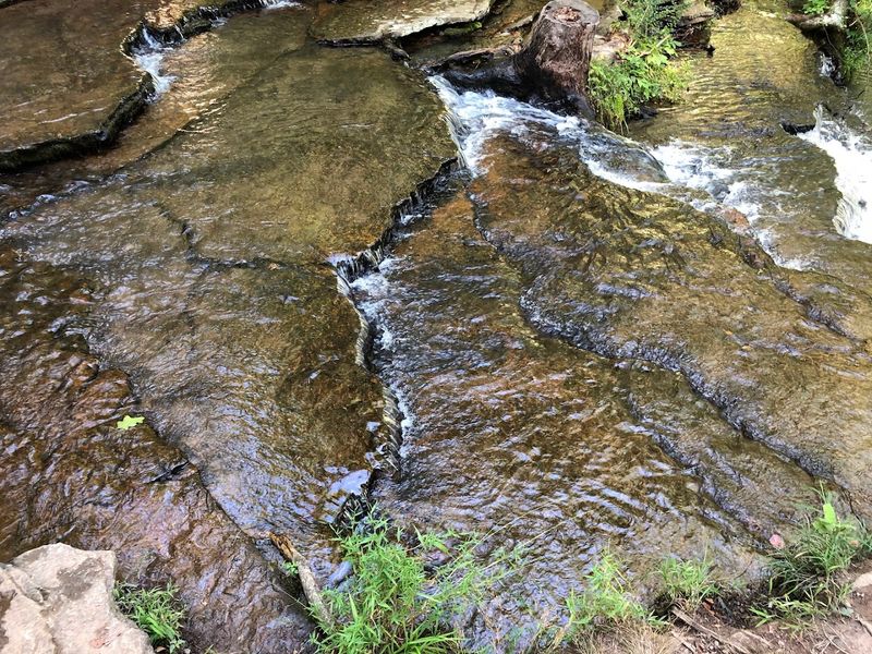 A Gentle Walk To Falling Water