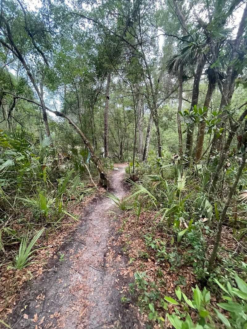 A Geocache Is Hidden Somewhere On The Property