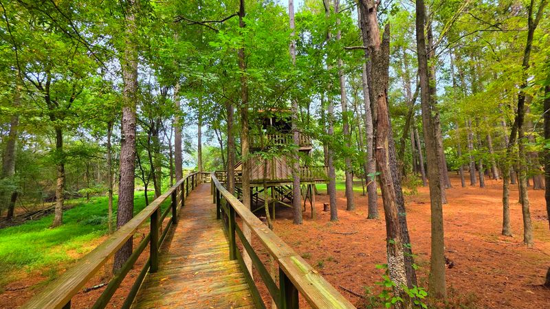 A Giant Treehouse Towers Above The Forest