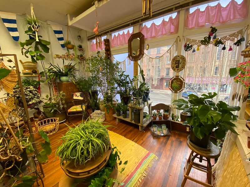 The Atmosphere That Keeps People Coming Back