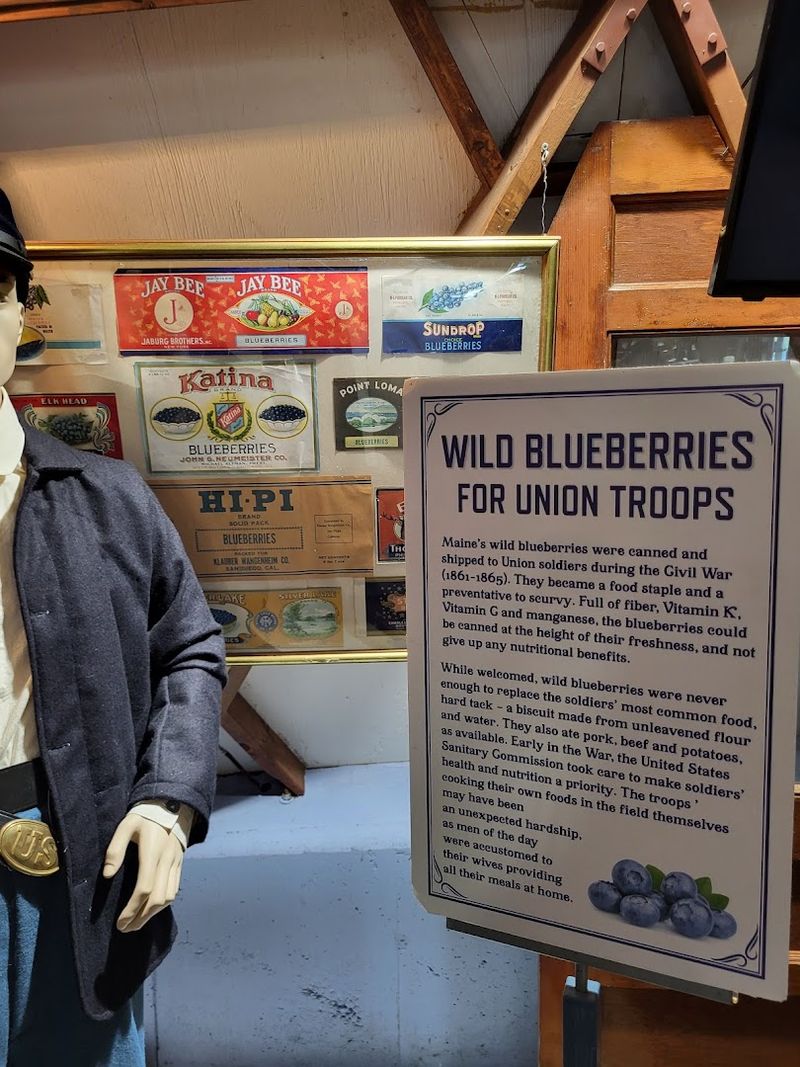 Wabanaki Heritage On Display