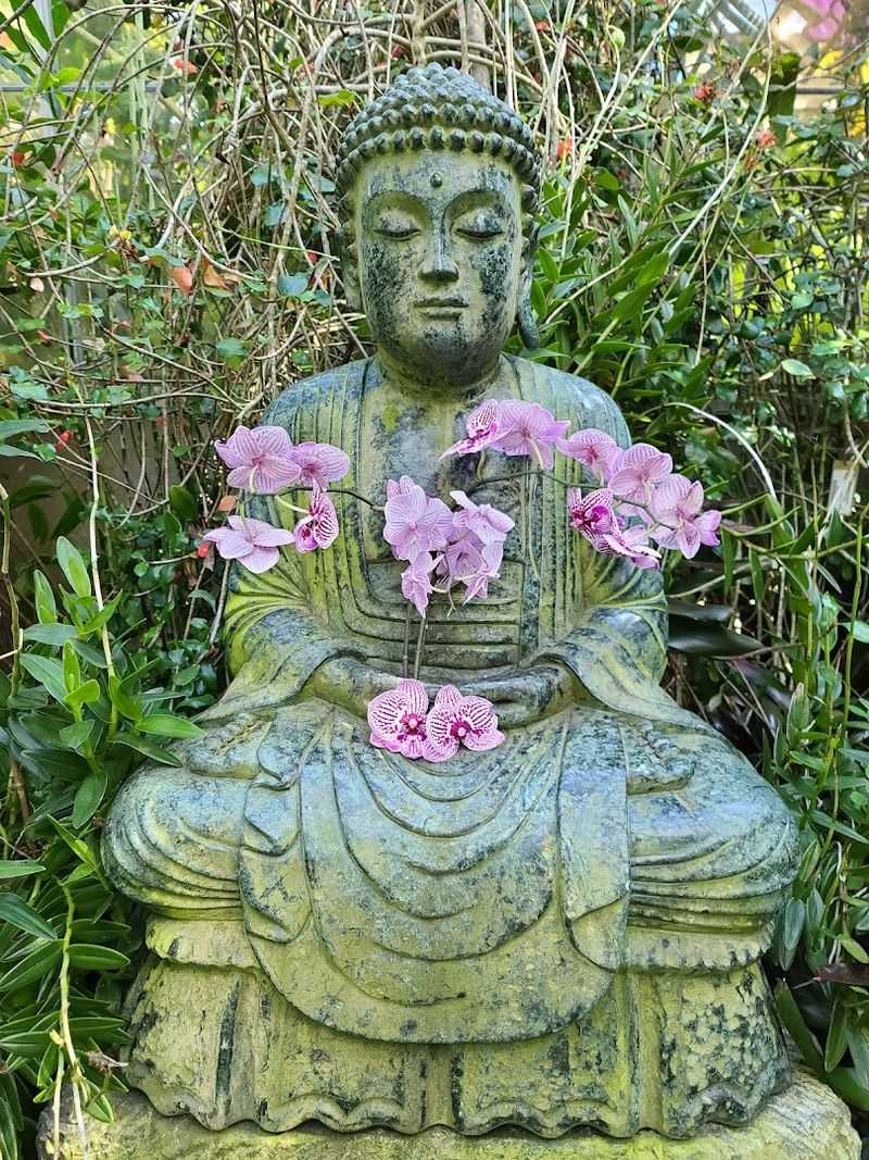 Educational Programming And Events That Deepen The Experience