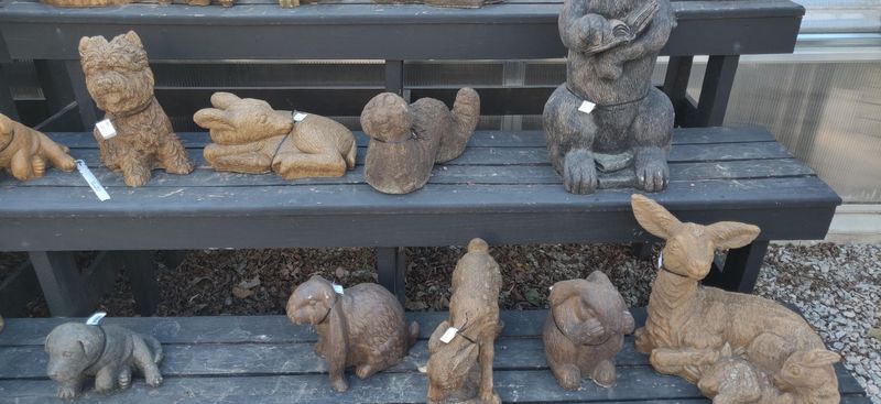 A Gift Shop That Goes Beyond The Expected