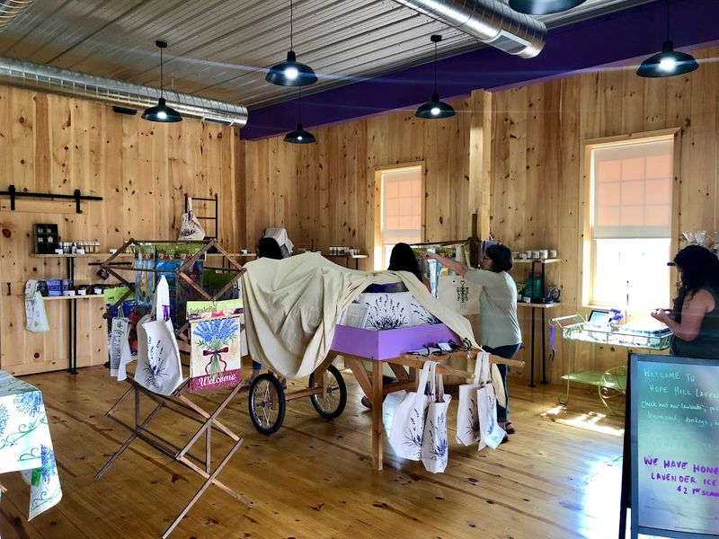 Culinary Classes That Turn Lavender Into A Kitchen Staple