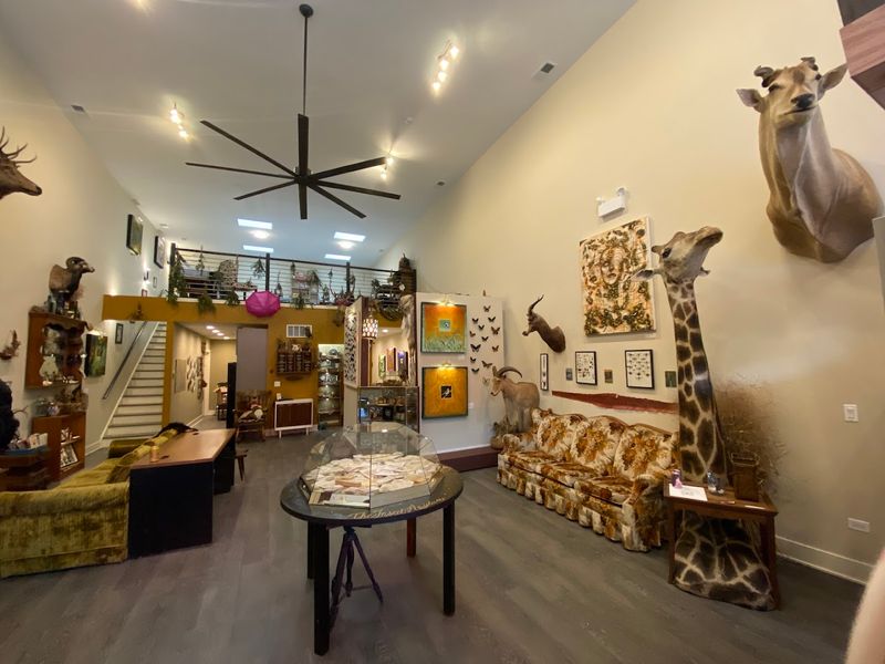 Designed For Everyone