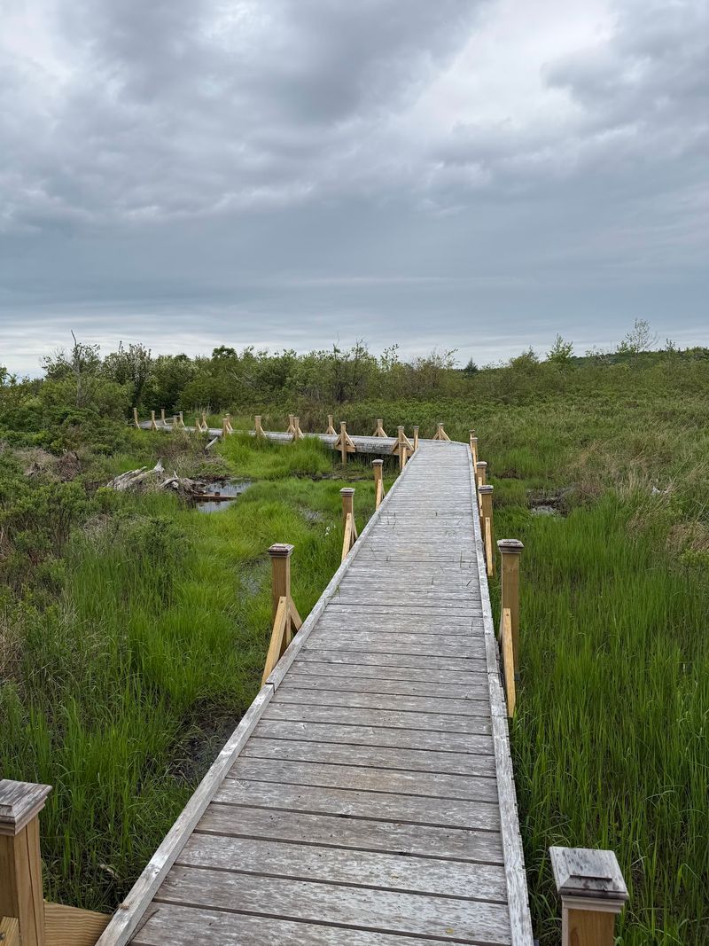 A Glowing Walk On The Boardwalk