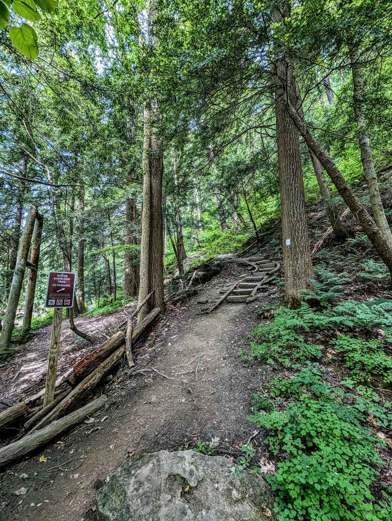 Trails for Every Skill Level